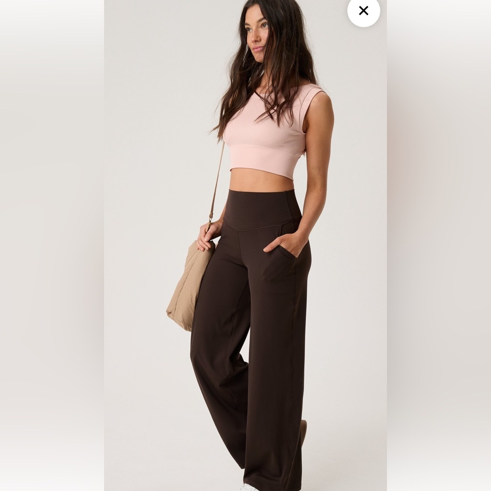 Aerie Chocolate Brown Pants